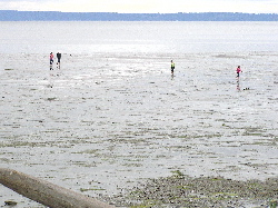 Scott Edwards Family